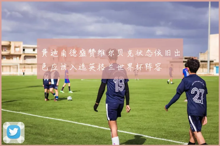 费迪南德盛赞维尔贝克状态依旧出色应该入选英格兰世界杯阵容